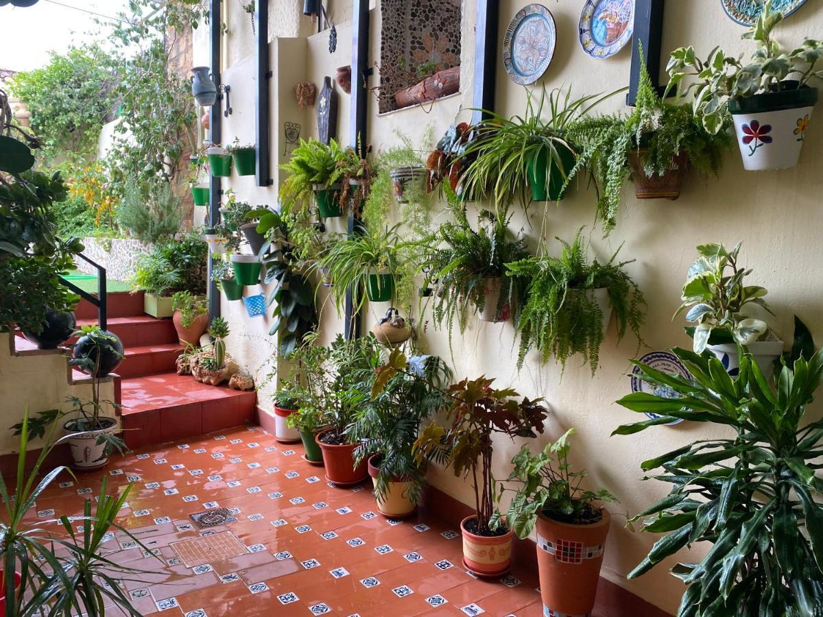 Casa Pepe Villa ออร์นาชวยโลส ภายนอก รูปภาพ